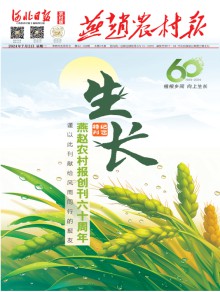 燕赵农村报